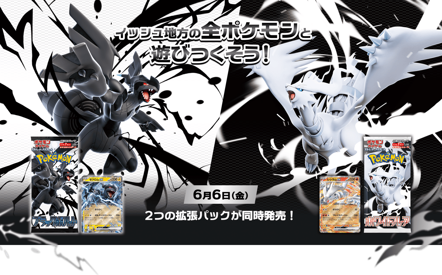 Black Bolt & White Flare [Japanese]
