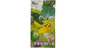 151 Booster Box- Slim [Simplified Chinese]
