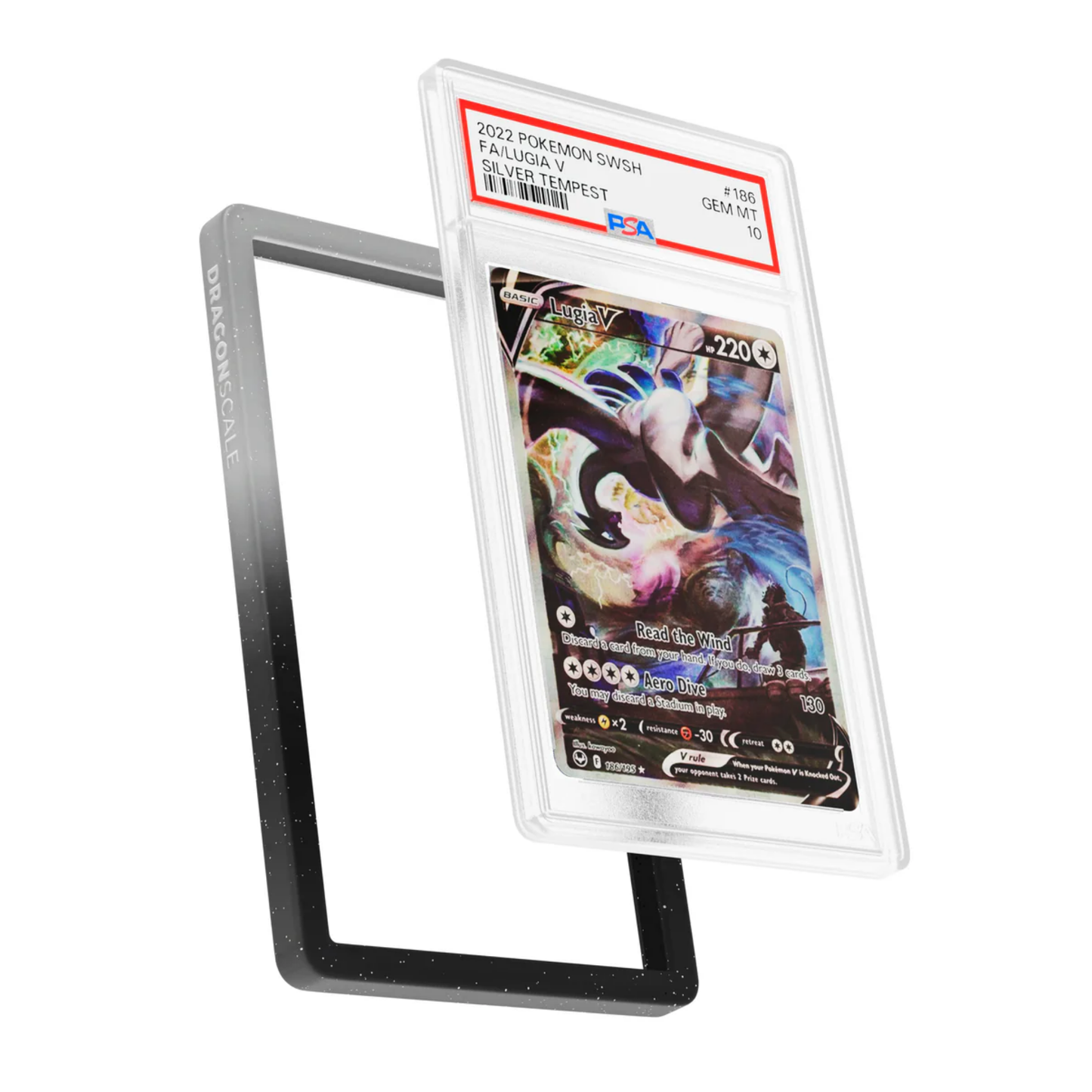PSA Bumper Guard (Radiant) Midnight